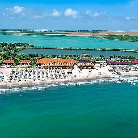 Blooming By The Sea - Cu Frontala Spre Mare