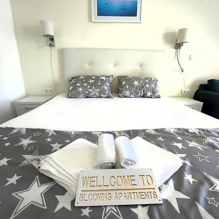Blooming By The Sea - Cu Frontala Spre Mare Hotel Constanţa