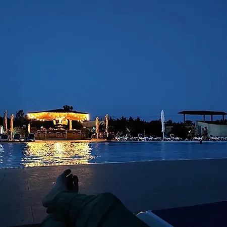Blooming By The Sea - Cu Frontala Spre Mare Konstanca