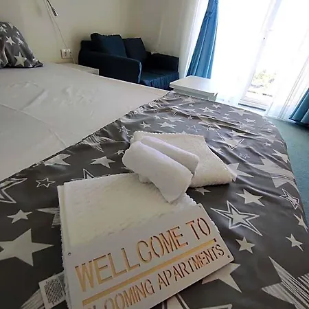 Hotel Blooming By The Sea - Cu Frontala Spre Mare Constanţa